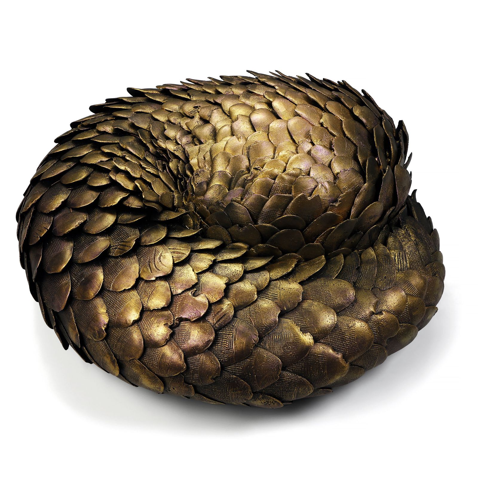 Pangolin — Dayamí Hayek